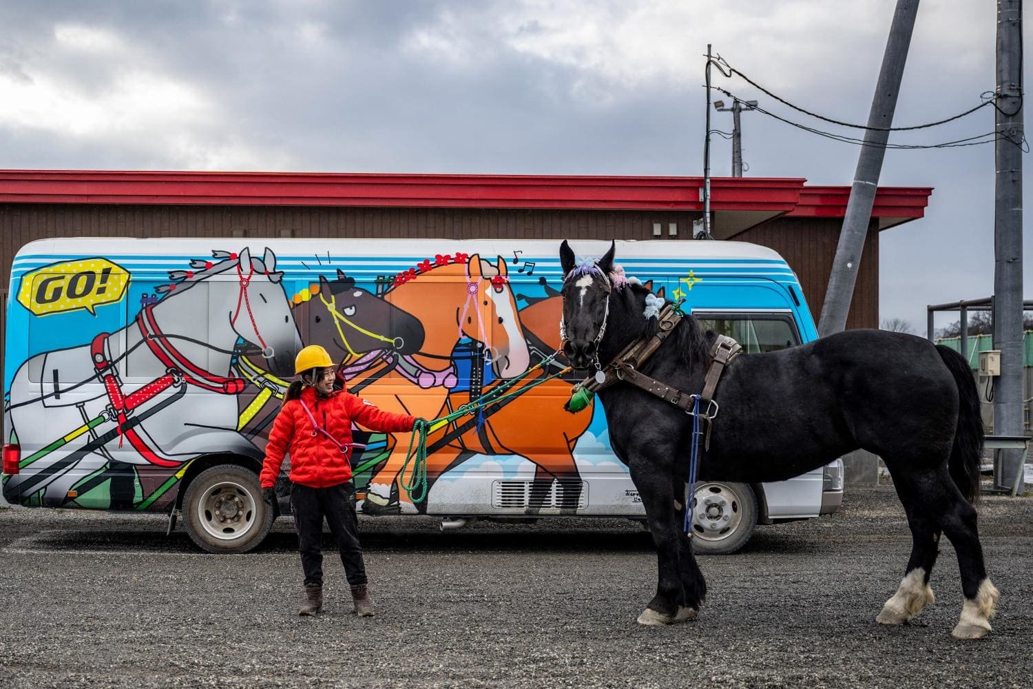 🐎 오비히로 경마장 이미지 6